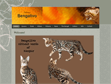Tablet Screenshot of bengalivo.com